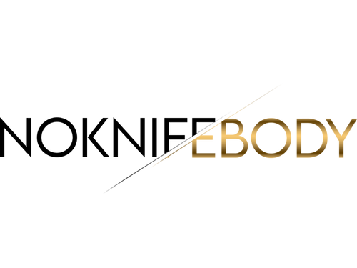 Noknifebody logo
